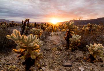 Image of a desert, not a dessert!